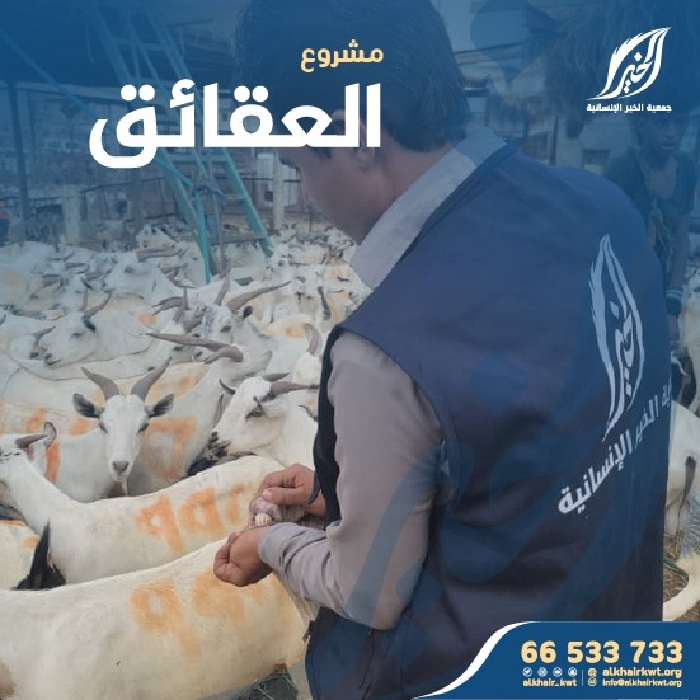 صورة العقائق