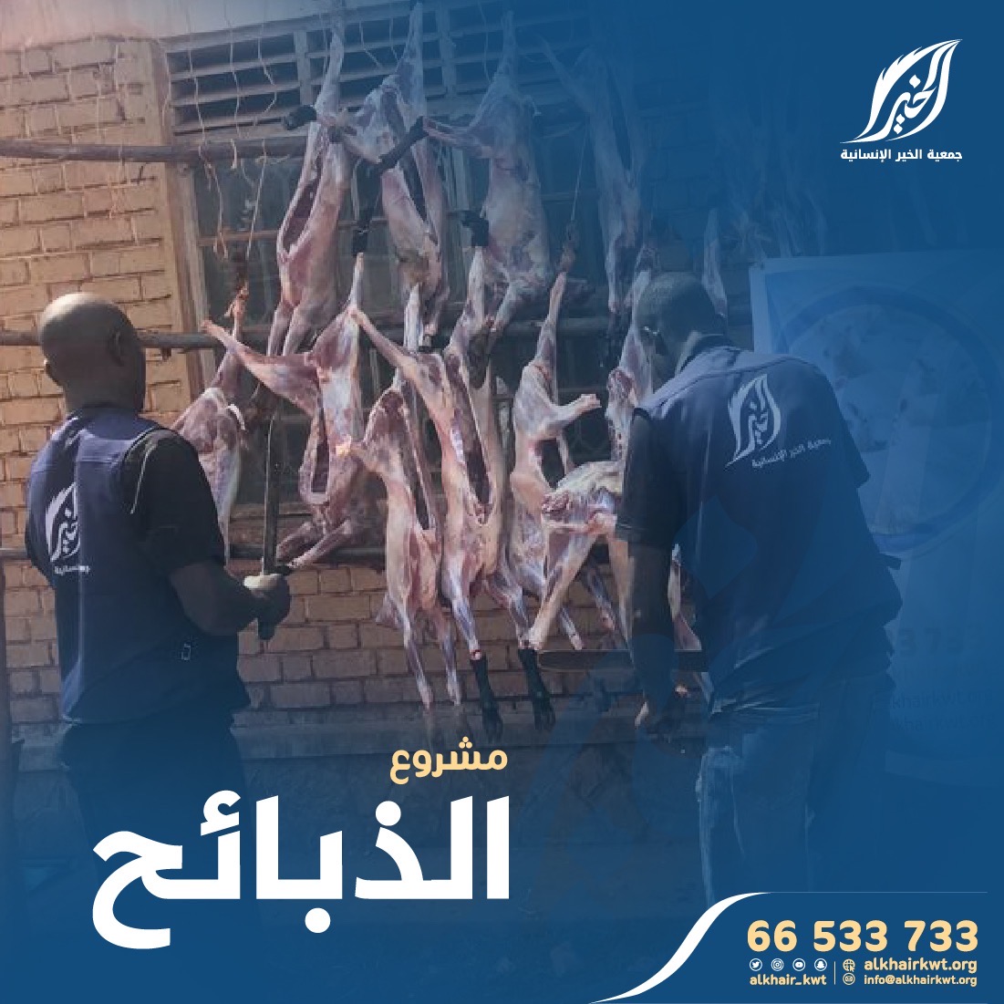 صورة الذبائح وتوزيع اللحوم